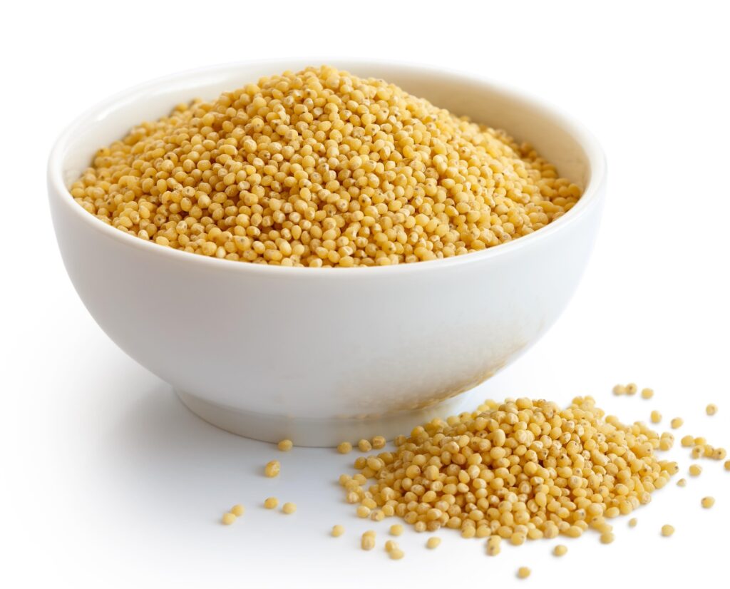 Foxtail Millet (Foxtail / தினை / कांगनी)