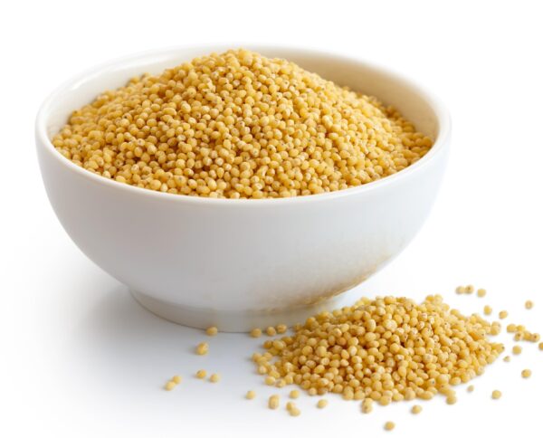 Foxtail Millet