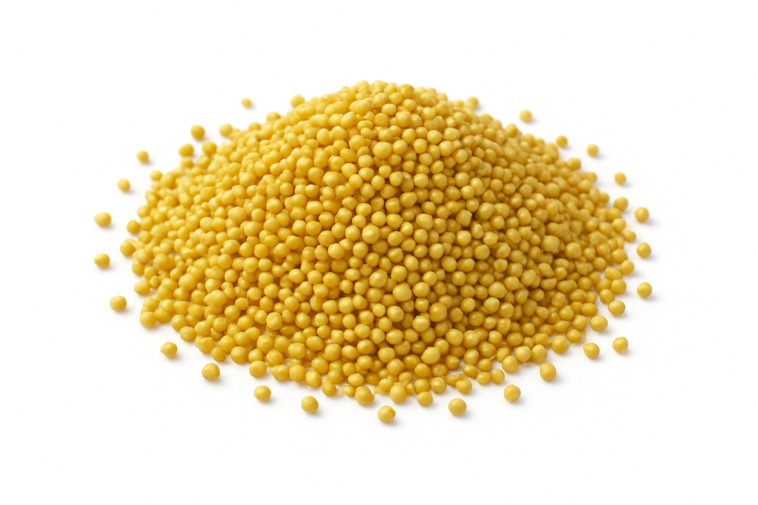 Proso Millet (Proso / பனிவரகு / चीन)