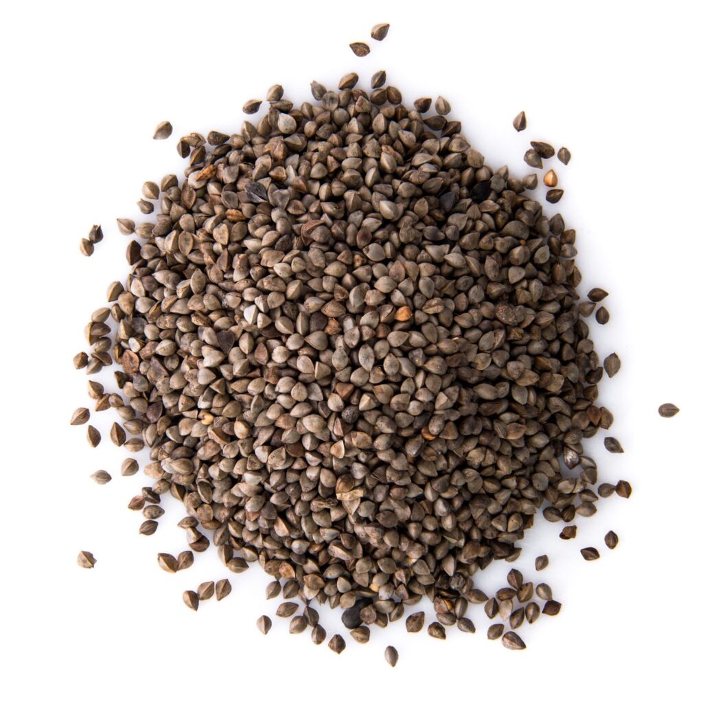 I Pearl (குண்டு கம்பு,गुंडू कंबु)