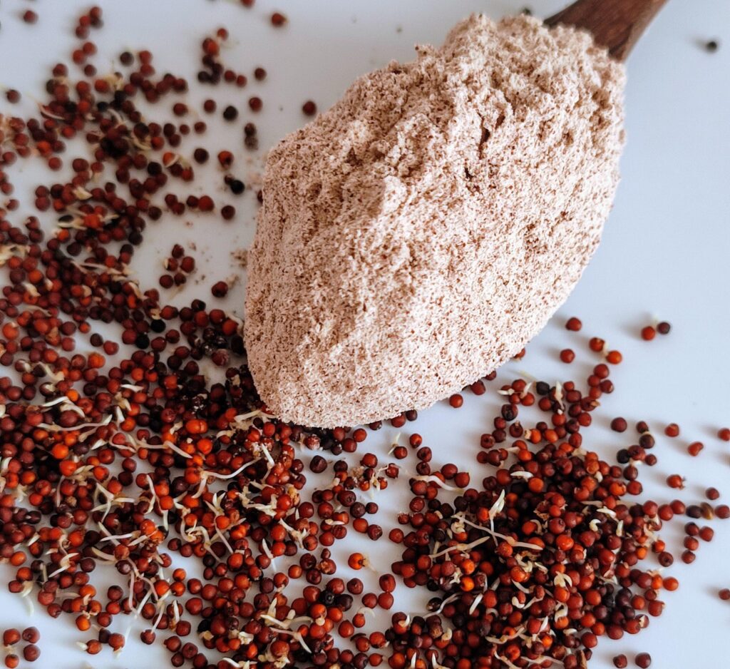 Sprouted Ragi Flour (முளைகட்டிய ராகி மாவு,अंकुरित रागी का आटा)