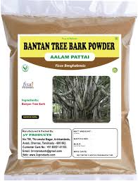 Banyan Bark Powder | ஆலம்பட்டை பொடி